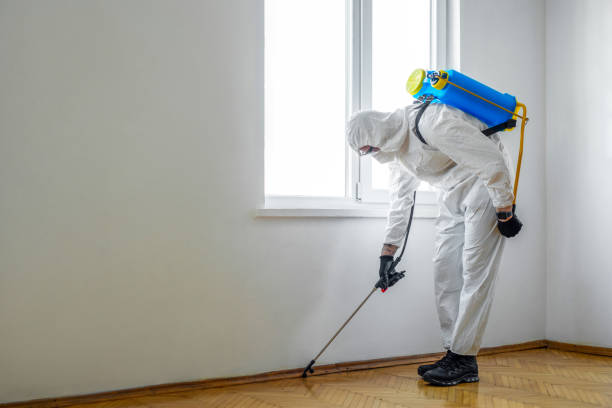 Pest Control Cost in Ravena, NY