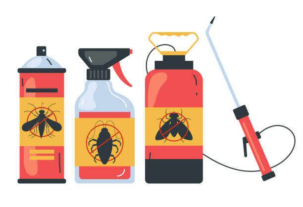 Best Insect Control  in Ravena, NY